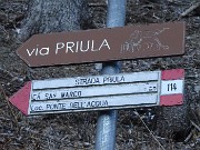 Sulle nevi del PASSO SAN MARCO e di CIMA VALLE ad anello il 9 marzo 2022 - FOTOGALLERY"